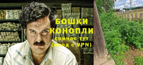 стаф Верхний Тагил